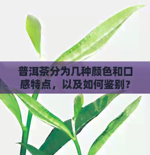 普洱茶分为几种颜色和口感特点，以及如何鉴别？