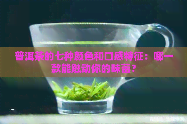 普洱茶的七种颜色和口感特征：哪一款能触动你的味蕾？