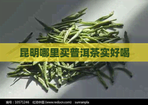 昆明哪里买普洱茶实好喝