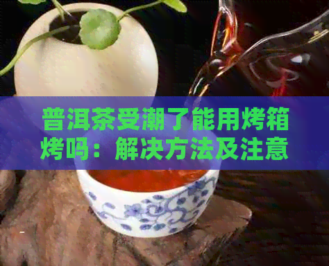 普洱茶受潮了能用烤箱烤吗：解决方法及注意事项