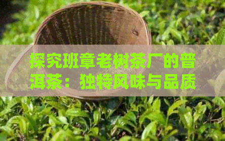 探究班章老树茶厂的普洱茶：独特风味与品质之路