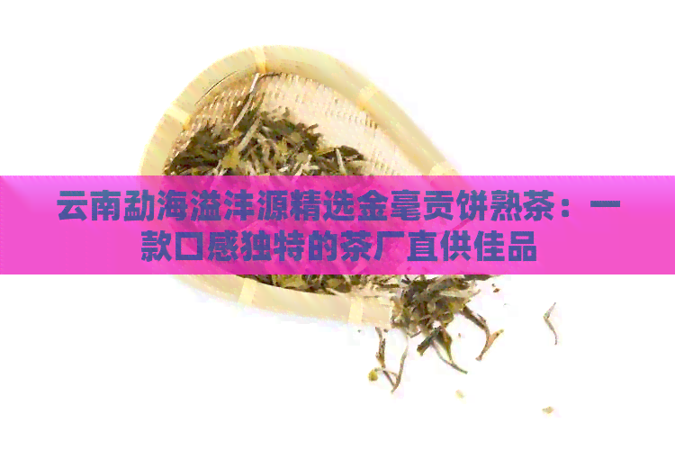 云南勐海溢沣源精选金毫贡饼熟茶：一款口感独特的茶厂直供佳品