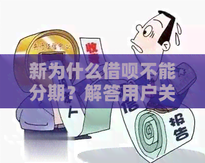 新为什么借呗不能分期？解答用户关于无法使用分期付款的疑问