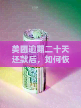 美团逾期二十天还款后，如何恢复借款资格？了解完整流程和应对策略