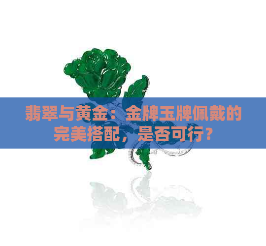 翡翠与黄金：金牌玉牌佩戴的完美搭配，是否可行？