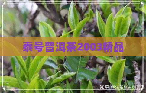 泰号普洱茶2003精品