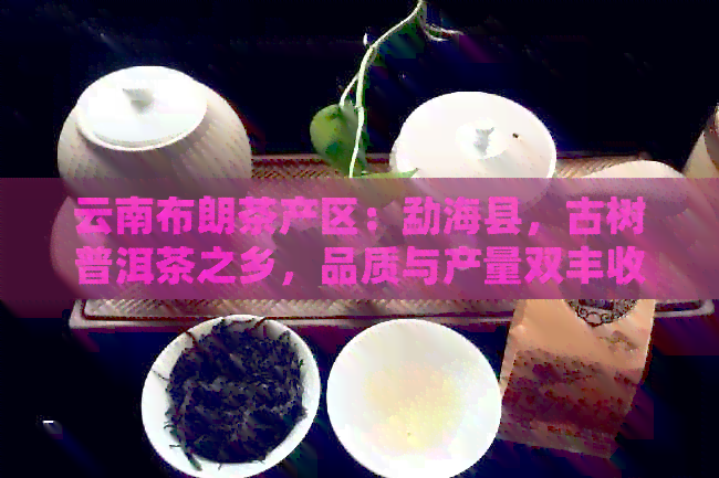 云南布朗茶产区：勐海县，古树普洱茶之乡，品质与产量双丰收