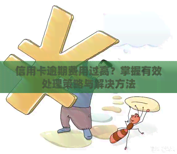 信用卡逾期费用过高？掌握有效处理策略与解决方法