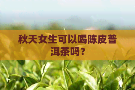 秋天女生可以喝陈皮普洱茶吗？