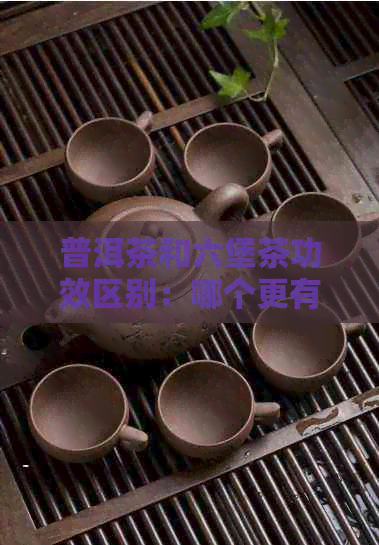 普洱茶和六堡茶功效区别：哪个更有益？详细对比分析