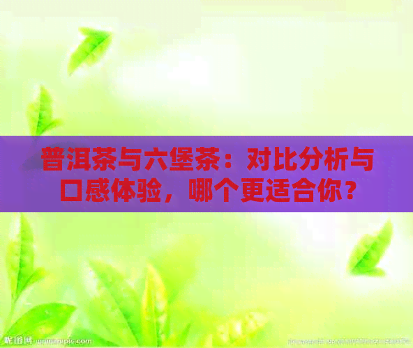 普洱茶与六堡茶：对比分析与口感体验，哪个更适合你？