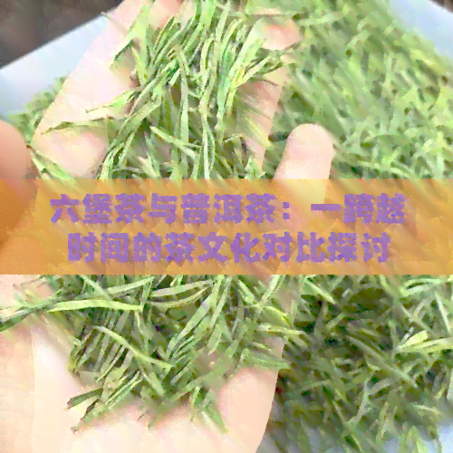 六堡茶与普洱茶：一跨越时间的茶文化对比探讨