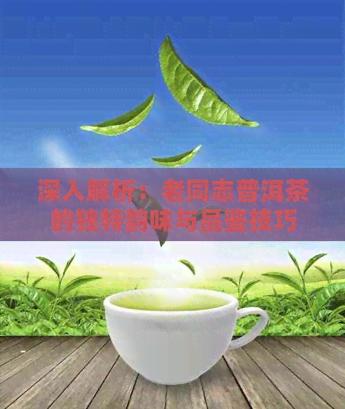 深入解析：老同志普洱茶的独特韵味与品鉴技巧