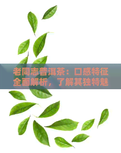 老同志普洱茶：口感特征全面解析，了解其独特魅力与品饮技巧