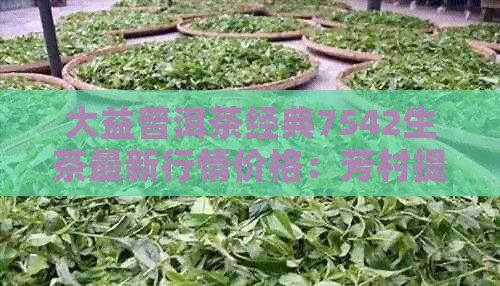 大益普洱茶经典7542生茶最新行情价格：芳村提供全方位资讯