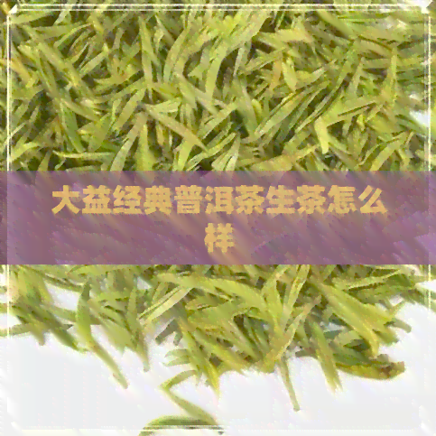 大益经典普洱茶生茶怎么样