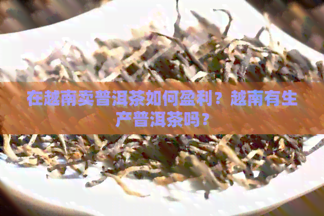 在越南卖普洱茶如何盈利？越南有生产普洱茶吗？