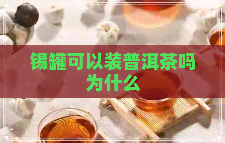 锡罐可以装普洱茶吗为什么