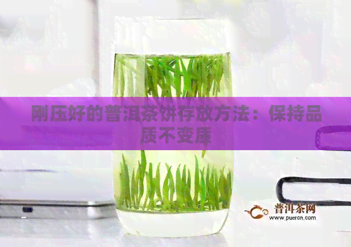 刚压好的普洱茶饼存放方法：保持品质不变质