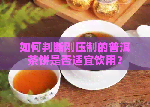 如何判断刚压制的普洱茶饼是否适宜饮用？