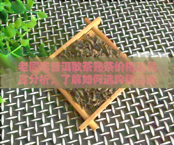 老同志普洱散茶熟茶价格及品质分析，了解如何选购和品鉴优质普洱茶