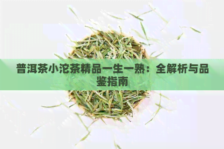 普洱茶小沱茶精品一生一熟：全解析与品鉴指南