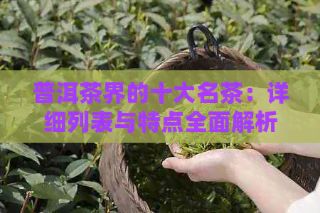 普洱茶界的十大名茶：详细列表与特点全面解析