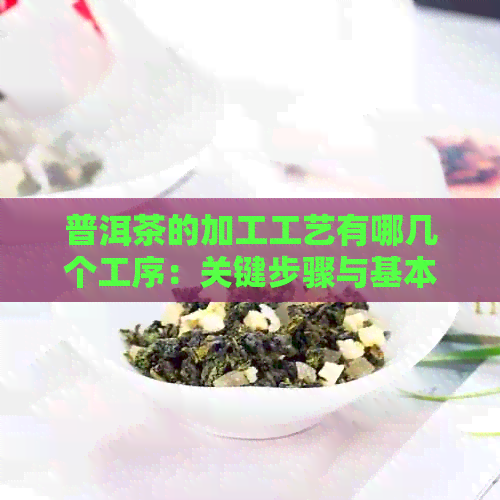 普洱茶的加工工艺有哪几个工序：关键步骤与基本流程