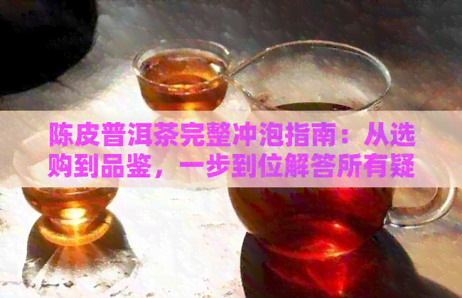 陈皮普洱茶完整冲泡指南：从选购到品鉴，一步到位解答所有疑问