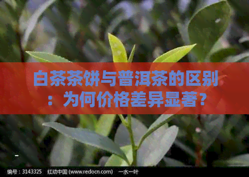 白茶茶饼与普洱茶的区别：为何价格差异显著？