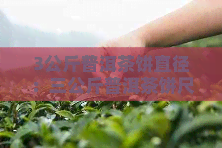 3公斤普洱茶饼直径：三公斤普洱茶饼尺寸与直径