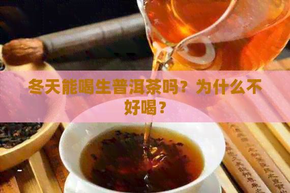 冬天能喝生普洱茶吗？为什么不好喝？