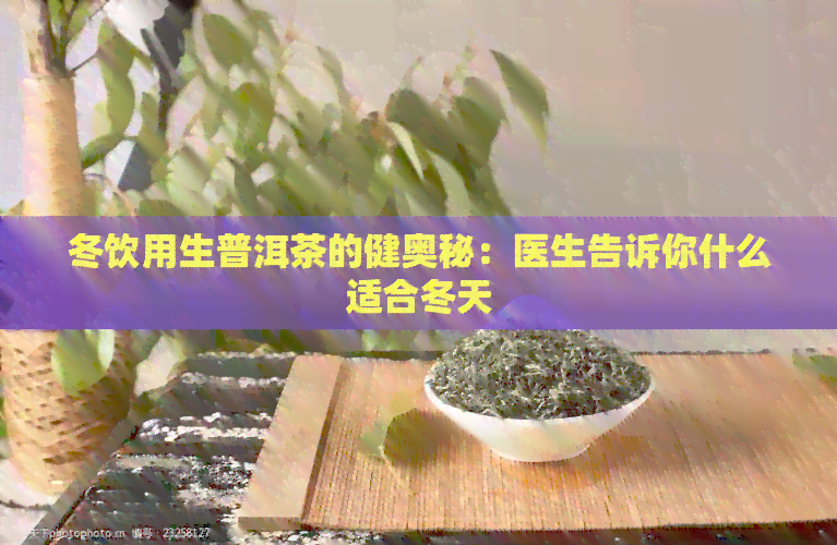 冬饮用生普洱茶的健奥秘：医生告诉你什么适合冬天