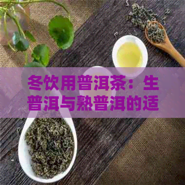 冬饮用普洱茶：生普洱与熟普洱的适用性及选择指南