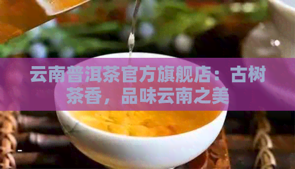 云南普洱茶官方旗舰店：古树茶香，品味云南之美