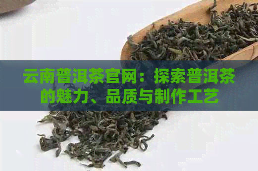 云南普洱茶官网：探索普洱茶的魅力、品质与制作工艺