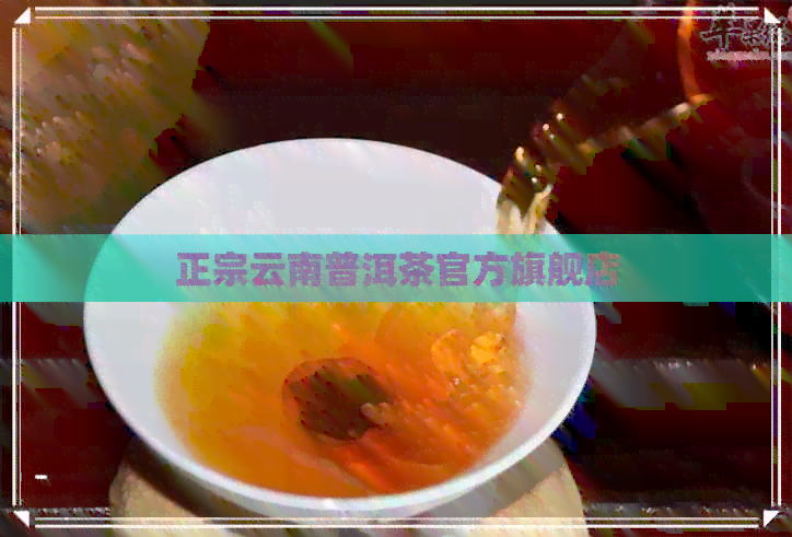 正宗云南普洱茶官方旗舰店