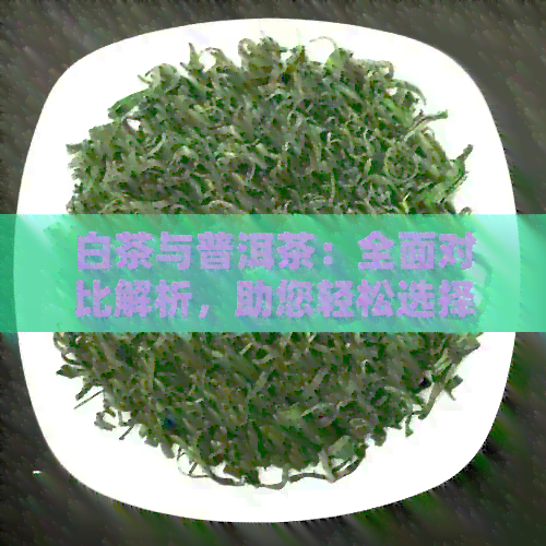 白茶与普洱茶：全面对比解析，助您轻松选择最适合您的茶品