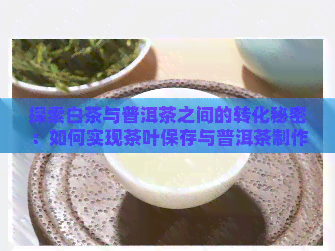 探索白茶与普洱茶之间的转化秘密：如何实现茶叶保存与普洱茶制作的有效结合