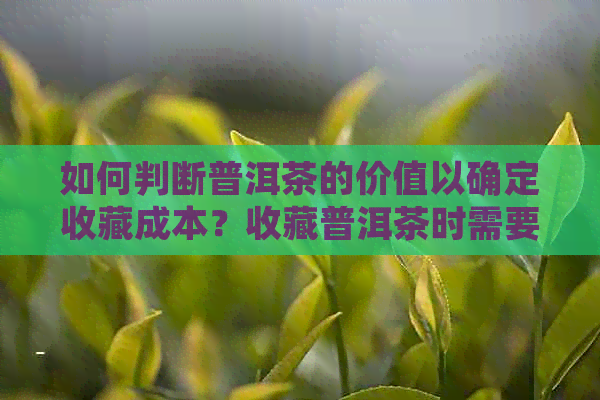 如何判断普洱茶的价值以确定收藏成本？收藏普洱茶时需要注意哪些因素？