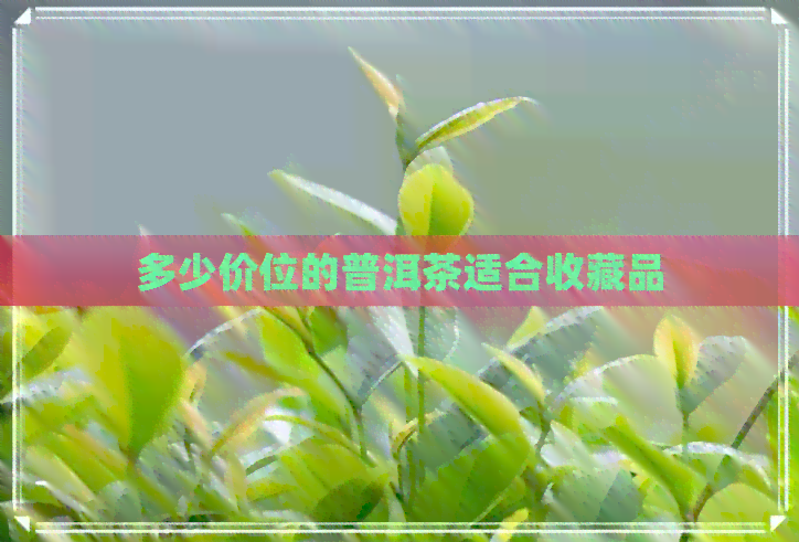 多少价位的普洱茶适合收藏品