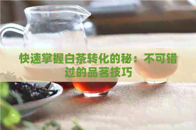 快速掌握白茶转化的秘：不可错过的品茗技巧