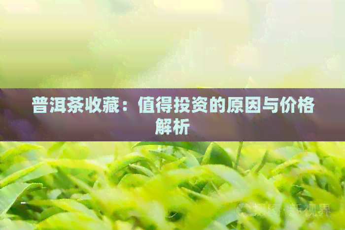 普洱茶收藏：值得投资的原因与价格解析