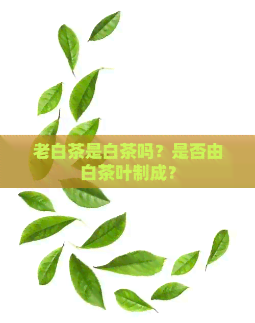 老白茶是白茶吗？是否由白茶叶制成？