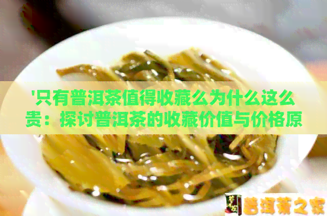 '只有普洱茶值得收藏么为什么这么贵：探讨普洱茶的收藏价值与价格原因'