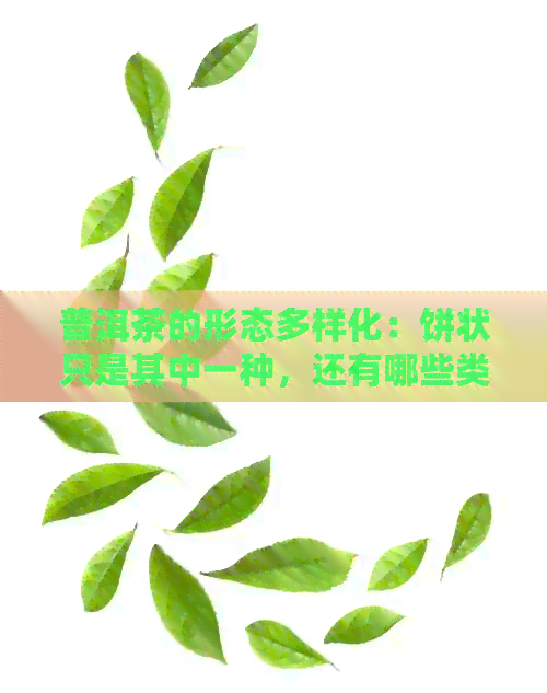 普洱茶的形态多样化：饼状只是其中一种，还有哪些类型？