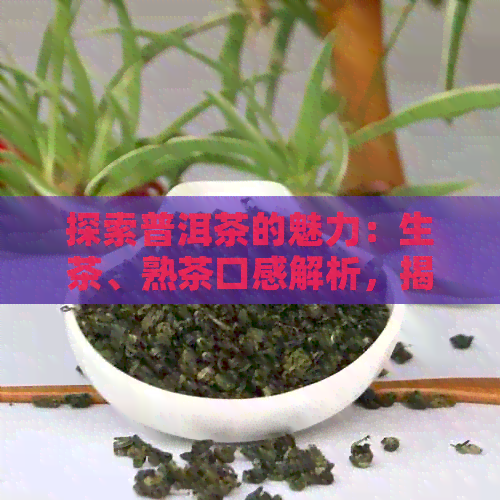 探索普洱茶的魅力：生茶、熟茶口感解析，揭示什么因素使其好喝