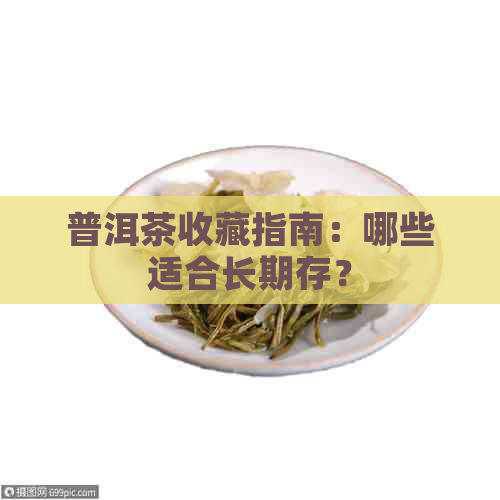 普洱茶收藏指南：哪些适合长期存？