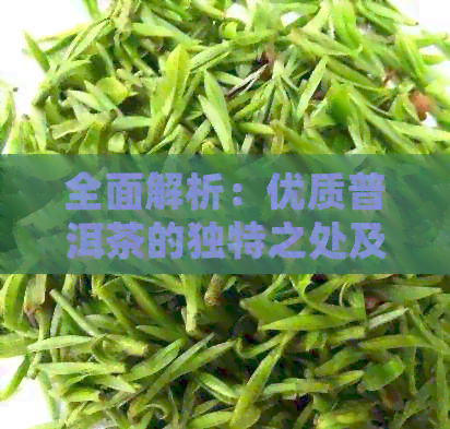 全面解析：优质普洱茶的独特之处及其品饮技巧