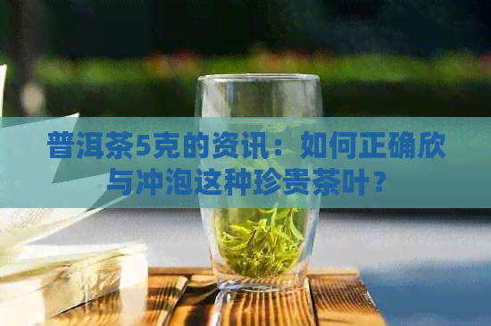 普洱茶5克的资讯：如何正确欣与冲泡这种珍贵茶叶？